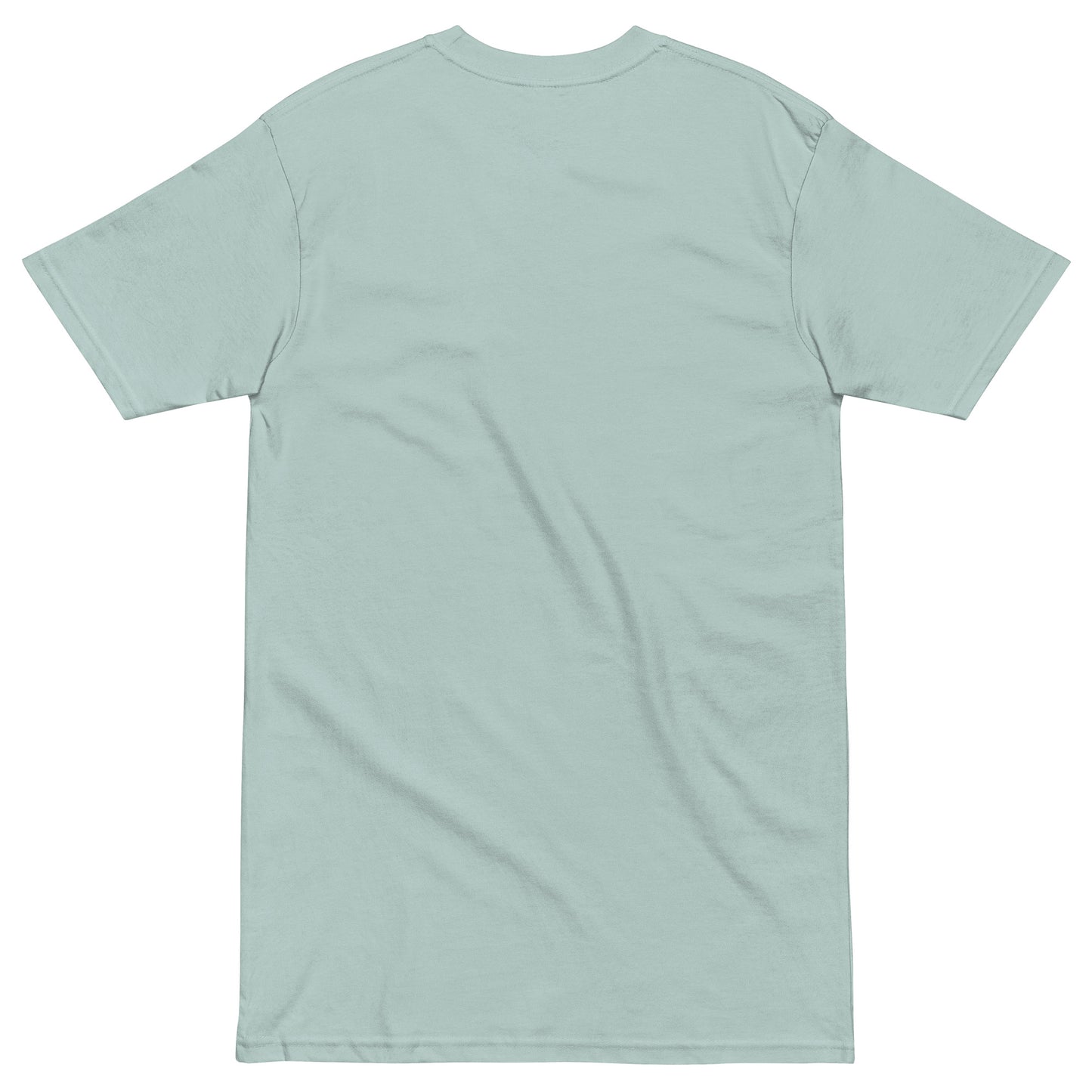 NASA LIES Men’s premium heavyweight tee